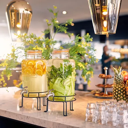 Hotel Der Valk Zaltbommel-a2 4*